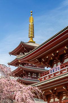 Schilderachtige pagode en Hozomon Poort van de Senso-ji Tempel in Tokio van Melanie Viola