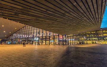 Rotterdam Centraal van Henri van Avezaath