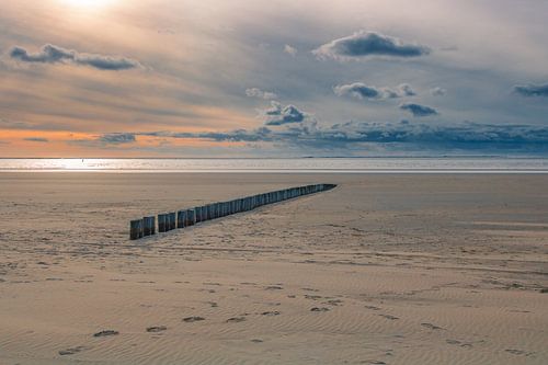 Les brise-lames sur la plage d'Ameland