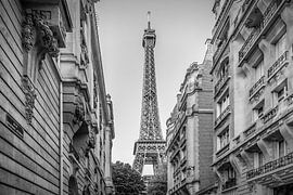 Parisian Flair | monochrome by Melanie Viola