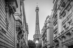 Parisian Flair | monochrome