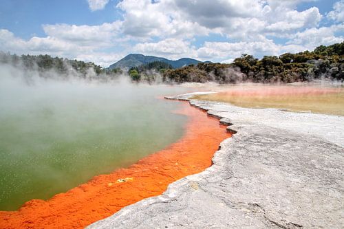 Champagnezwembad in het Wai-o-Tapu geothermisch gebied, Rotorua, Nieuw-Zeeland