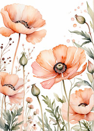 Fijne botanische aquarelillustratie van perzik- en papaverbloemen van hisam colours