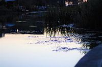 Reflection