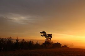 Zonsopkomst in Medebach
