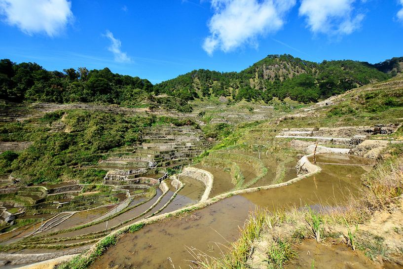 Maligcong: unberührte Natur und grüne Reisfelder von Frank Photos