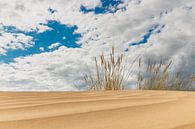 Dunes and dutch skies by Peter Abbes thumbnail