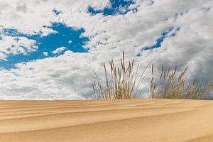 Dunes et ciel hollandais sur Peter Abbes