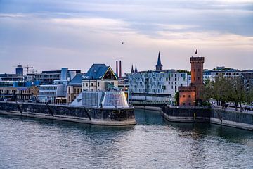 Cologne by Peter Schickert