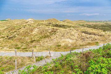 Landschap in de duinen bij Norddorf op het eiland Amrum