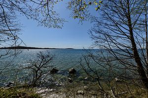 Am Ufer in der Goor, Insel Vilm, Lauterbach auf Rügen
