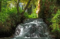 Wasserfall von Iris Heuer Miniaturansicht