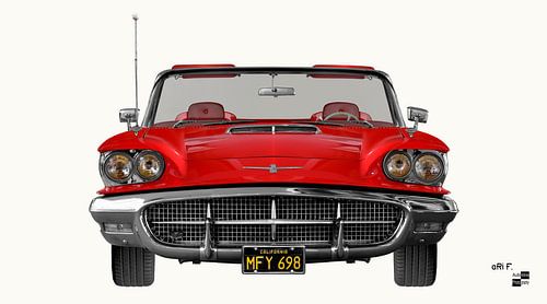 Ford Thunderbird 2rd Square Bird