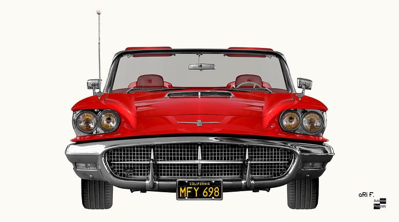 Ford Thunderbird 2rd Square Bird by aRi F. Huber