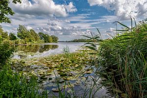 Der Breukeleveensche oder Stille See.