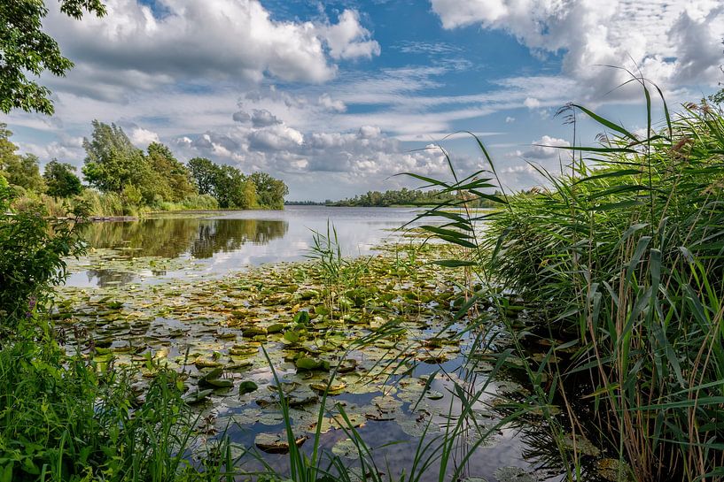 Der Breukeleveensche oder Stille See. von Don Fonzarelli