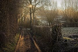 Etherische zonsopkomst in de Elzet