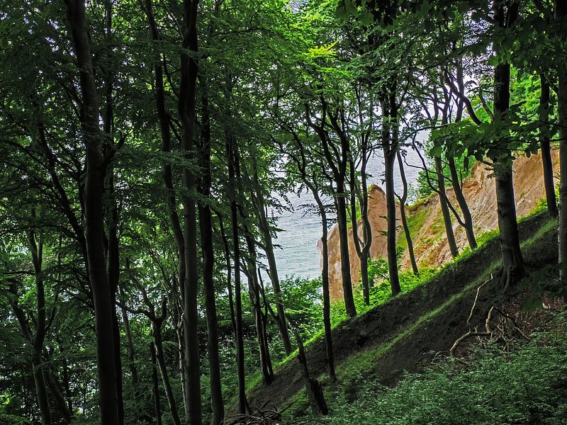 Jasmund National Park by Katrin May
