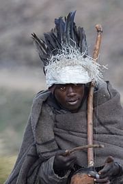 survival of the fittest by Vincent Vos