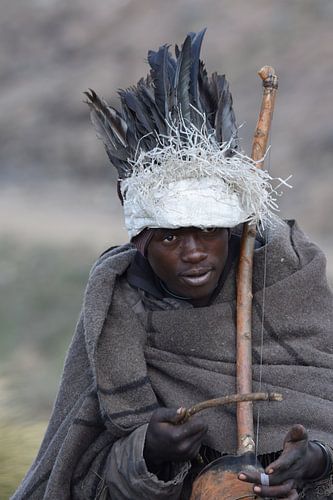 Überleben des Stärkeren