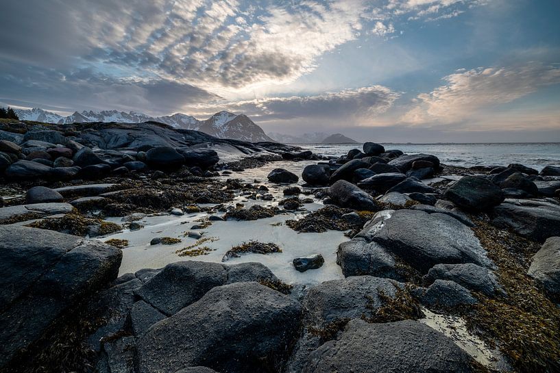 Kust van Lofoten Noorwegen van Frank Pietersen