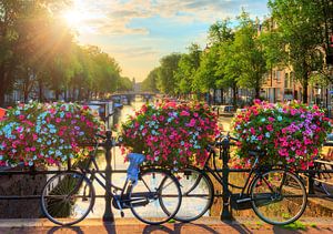 Amsterdam sonnige Brücke II
