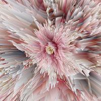 Passiflore : Les nuances de l'amour