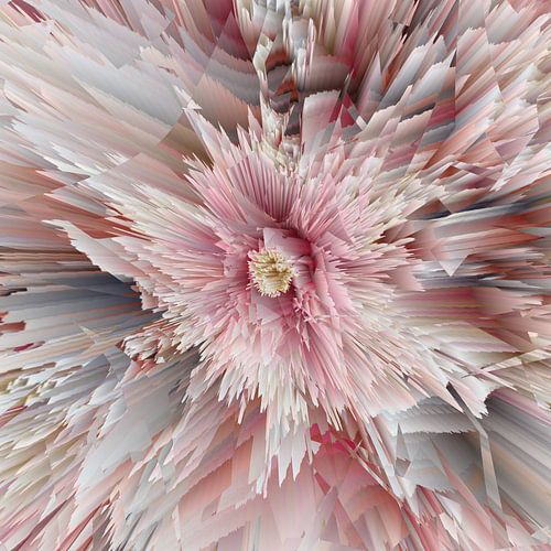 Passiebloem: De schakeringen van liefde (ook geschikt in serie: liefde - 3 luik)