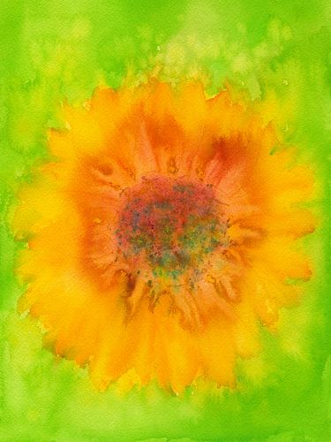 Power flower aquarel schilderen