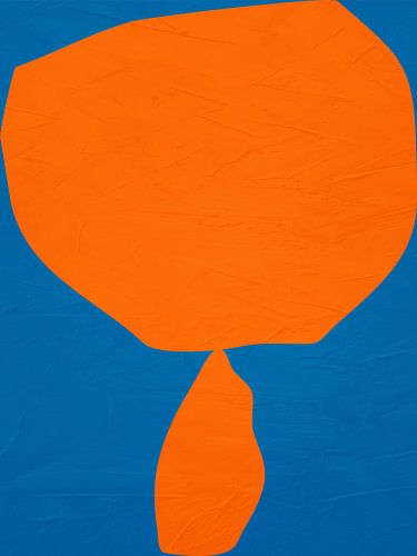 Modern Organic Geometric Abstract Art In Colours