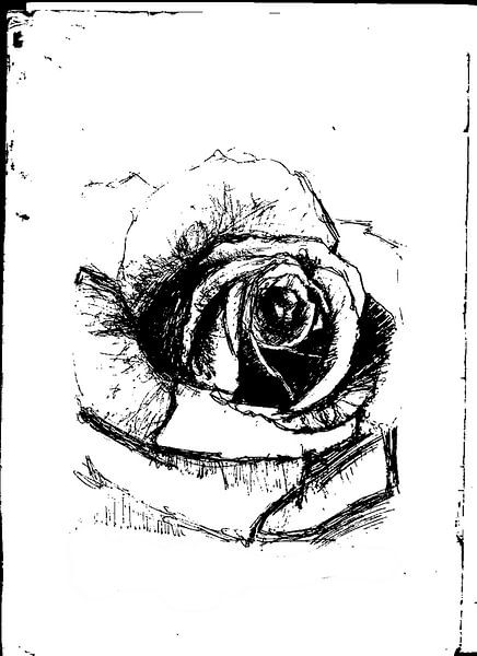 ROS BLACK WHITE by Vincent Jacobs