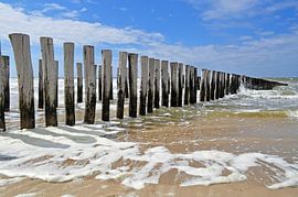 Sommer in Zeeland von Zeeland op Foto