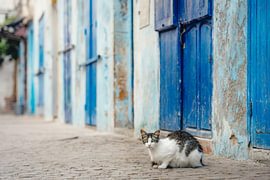 Essaouira, Marokko