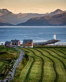 Harvest time on Godøy, Norway by qtx