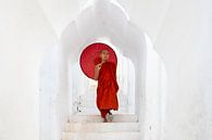 Monk in a temple by Antwan Janssen thumbnail
