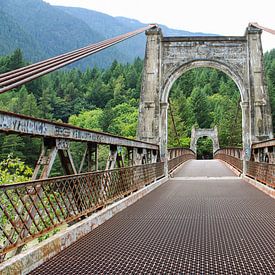 Alexandra bridge tussen de groene bergen van Canada van Daphne Dorrestijn