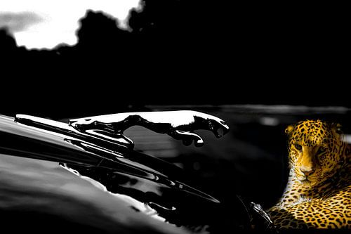 When “Style meets Strenght”