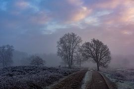 Winter morning by Etienne Michel