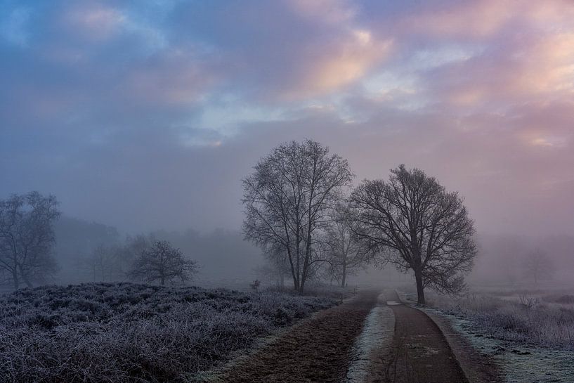 Wintermorgen von Etienne Michel