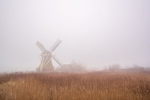 Moulin dans une réserve naturelle