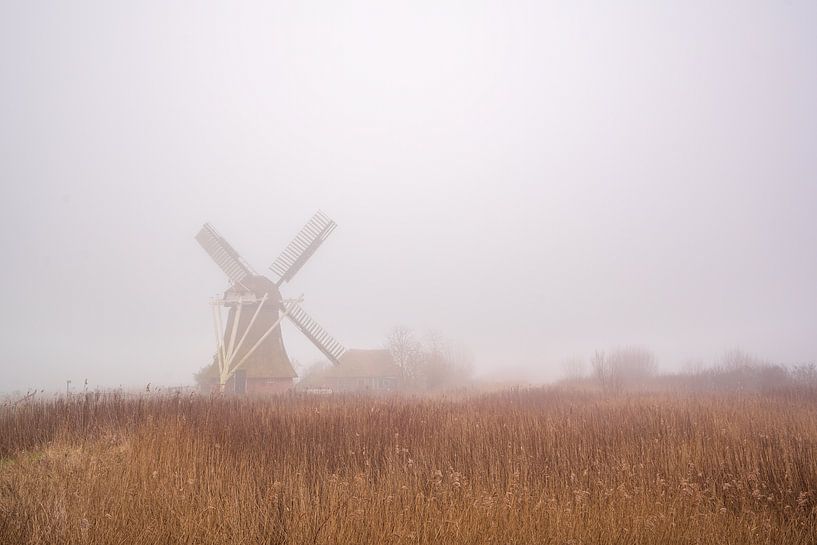 Mill in nature reserve by Margreet Schipper