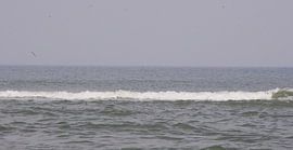 Brekende golven by Ad Steenbergen