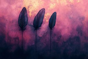 Plumes de la nuit