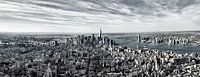 New York Panorama van Anita Meis thumbnail