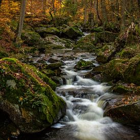 L'Ilse en automne sur Regina Steudte | photoGina