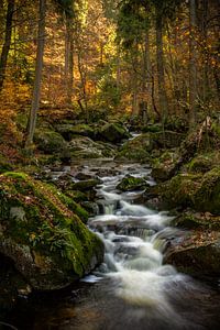 The Ilse in autumn by Regina Steudte | photoGina