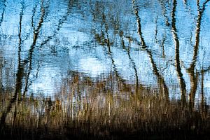 Abstractie Landschap Reflectie Bomen van Dieter Walther
