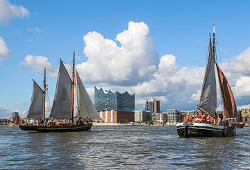 Sailing ships in the port of Hamburg by Sabine Wagner