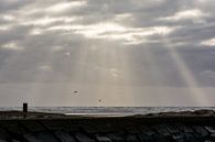 Beach IJmuiden from the South Pier at dusk. by Zaankanteropavontuur thumbnail