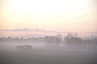 Mistlandschap